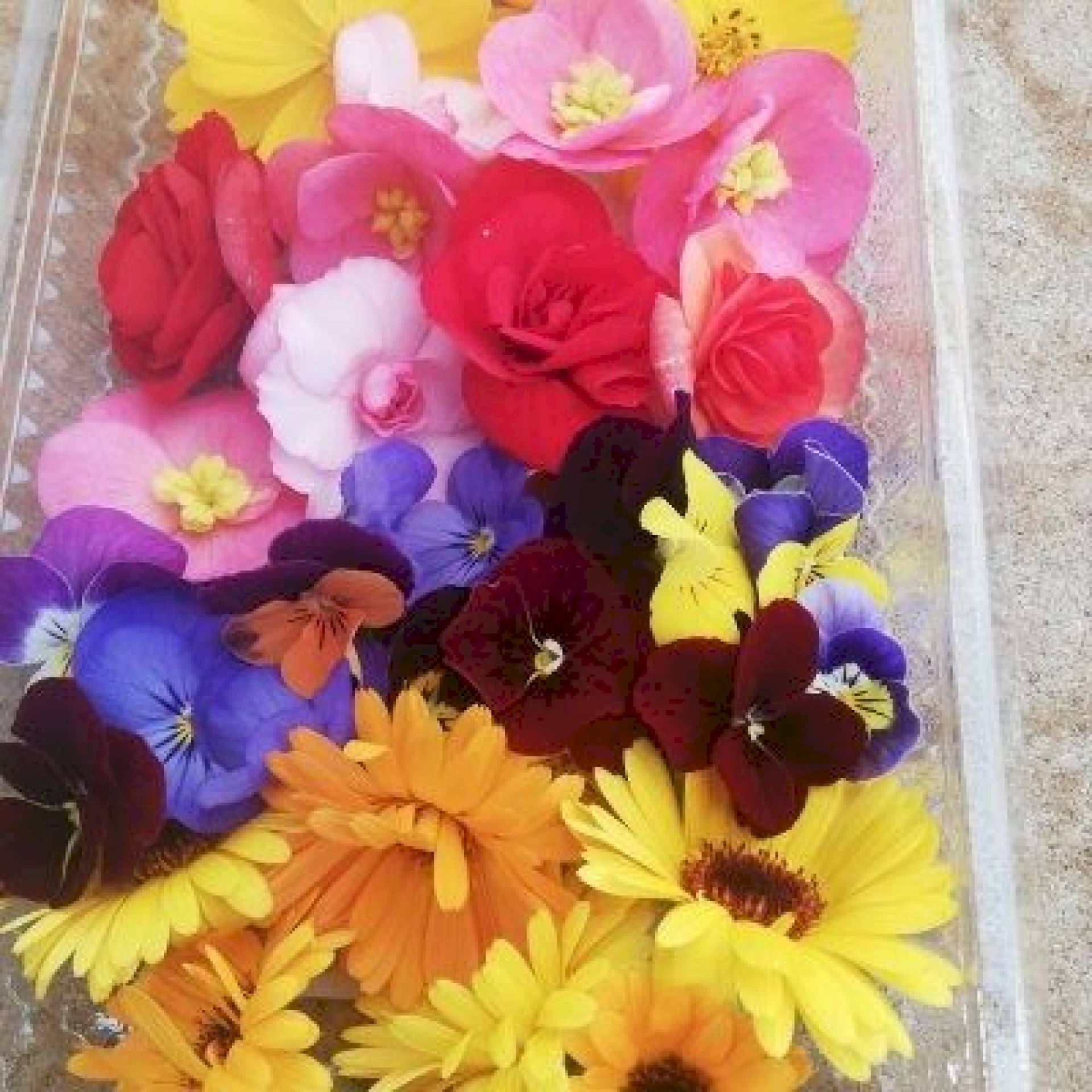 Barquettes fleurs mixtes